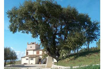 Panzió Città Sant'Angelo 3